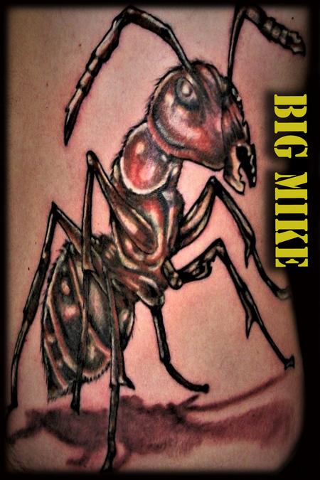 Tattoos - Realistic Large Ant - 130870